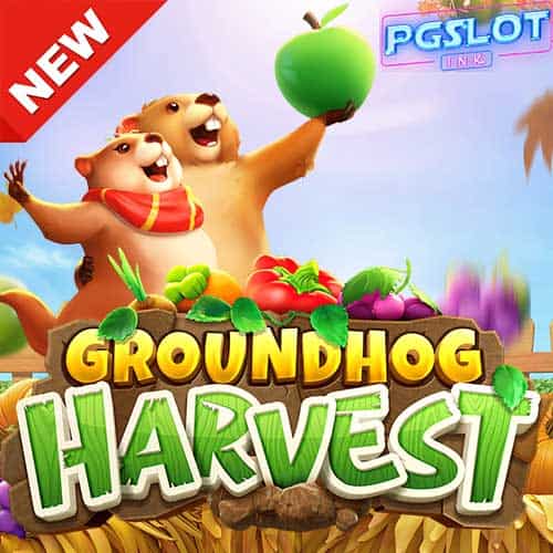 Banner Groundhog Harvest ทดลองเล่นสล็อต pg slot