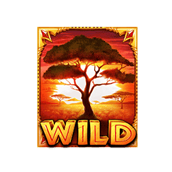 Wild The Ultimate 5 ทดลองเล่นสล็อต ค่าย Pragmatic Play