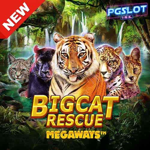 Banner Big Cat Rescue Megaways ทดลองเล่นสล็อต ค่าย Red Tiger