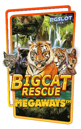 Icon Big Cat Rescue Megaways ทดลองเล่นสล็อต ค่าย Red Tiger