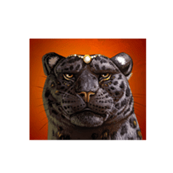 Top Panther’s Reign ทดลองเล่นสล็อต ค่าย Quickspin