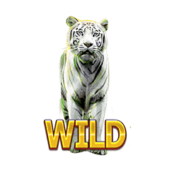 Wild Big Cat Rescue Megaways ทดลองเล่นสล็อต ค่าย Red Tiger
